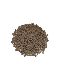 Lenteja Pardina 500g