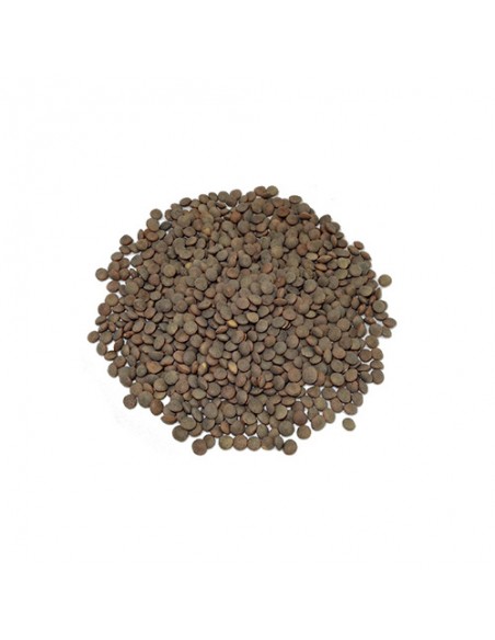 Lenteja Pardina 500g