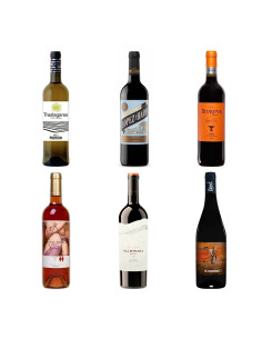 SURTIDO VINOS