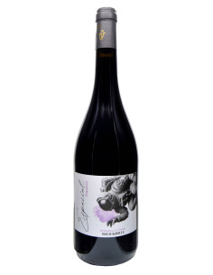 Espacial 75cl